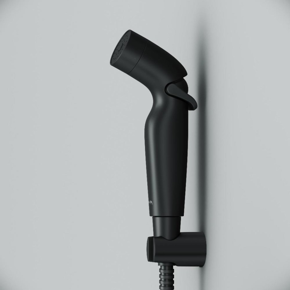Гигиеническая лейка со шлангом и держателем AM.PM F0202022 черный